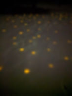 Tea light labyrinth under snow
