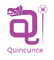 Logo Qi.png