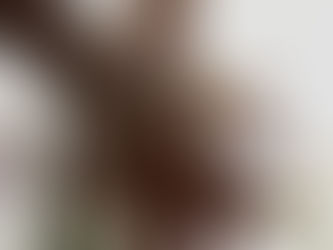 All You Need is Love & Chocolate