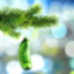 ree