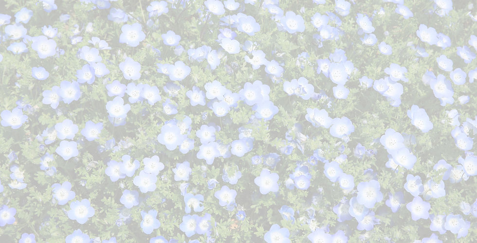 Blue Wildflowers Blooming_edited_edited.