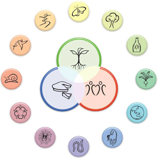 permaculture design principles.gif