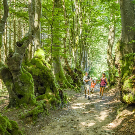 Top 4 des villages à découvrir autour de Ferrières-sur-Sichon : petites pépites de la montagne bourbonnaise