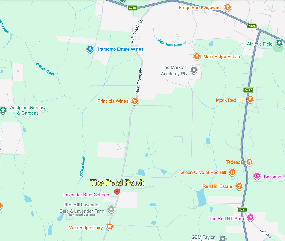 Image 28-6-2026 at 10.03 am.png