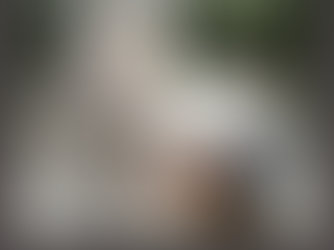 So eine doofe Kuh....