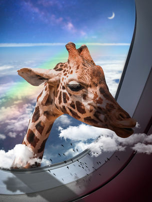 daydream-3.JPG