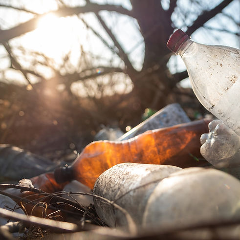 ground-littered-with-plastic-bottles.jpg