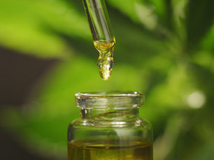 Terpenos e o Efeito Entourage: A Bioquímica da Sinergia Canabinoide