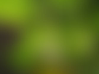 Terpenos e o Efeito Entourage: A Bioquímica da Sinergia Canabinoide