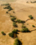 aerial-view-dry.jpg