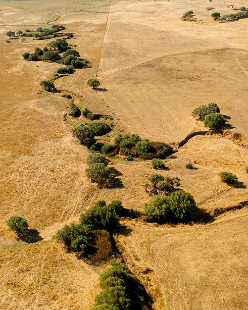 aerial-view-dry.jpg