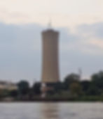 ree