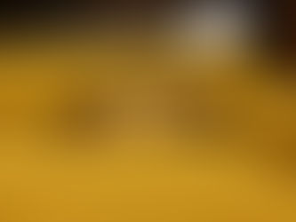 テレワークにもお使いください