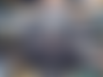 Uncovering Rare Gems: The Hidden World of Heckler & Koch Collectible Challenge Coins