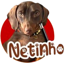 Design sem nome (11)_edited.png