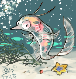 chasta.png