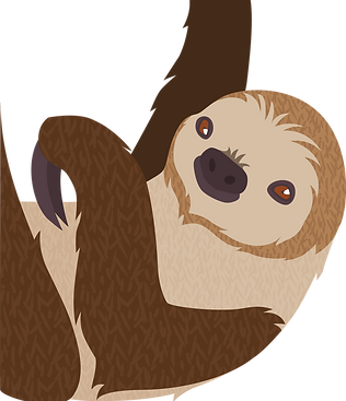 Linnaeusâs_Two_Toed_Sloth_Extended.png