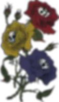 banner.webp