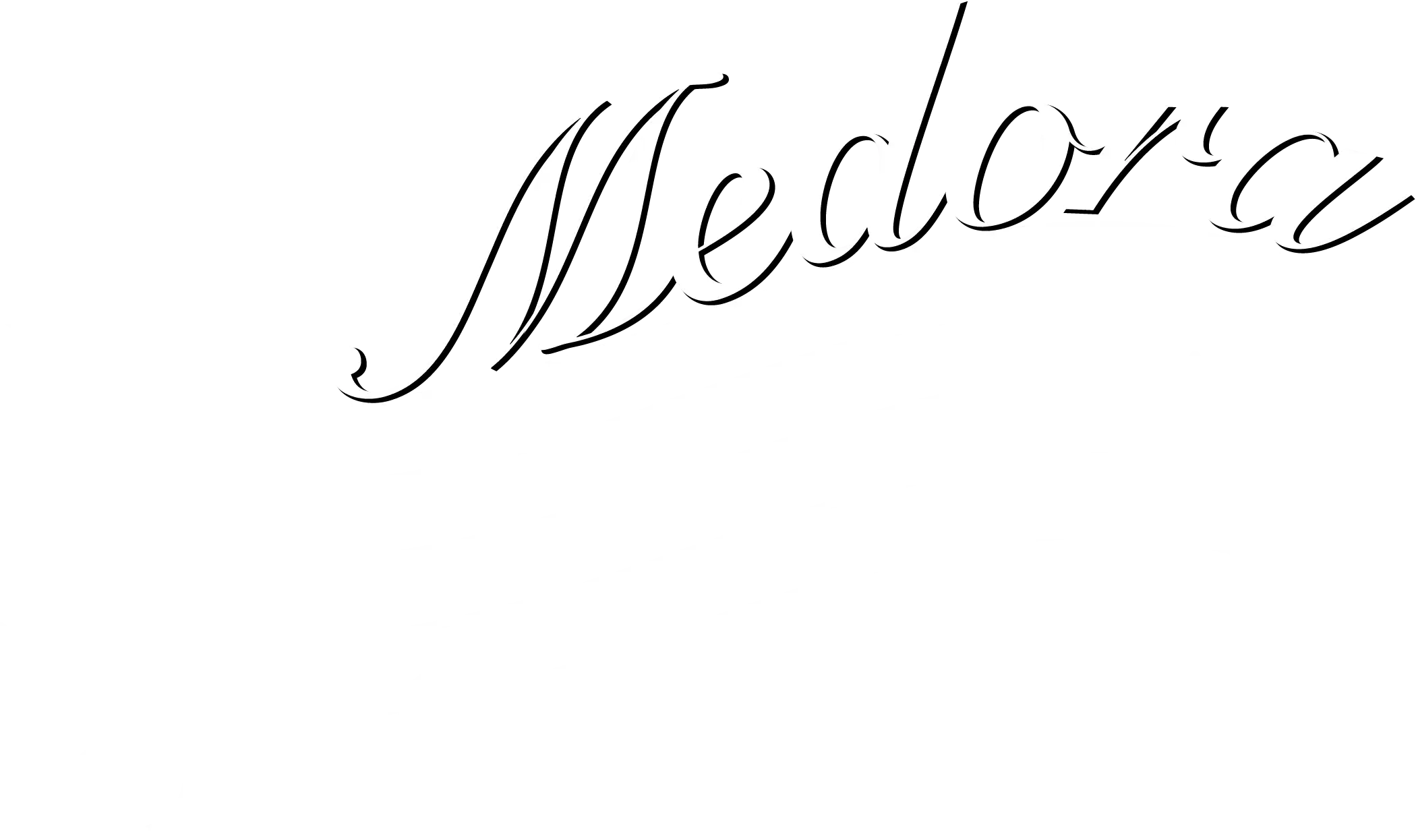 Medora Logo white