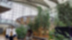 SOCIETE GENERALE - Hyatt Regency Paris - Afterwork Jeux en Bois