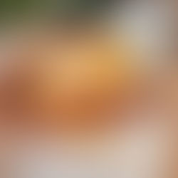 I'm a Food/Travel Influencer and Chicago is the Best Breakfast City in the World