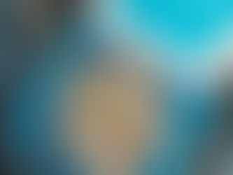 Stuffed Bagels Have Arrived in NYC! Hype? Or Legit?