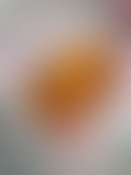 Everything to Eat at a New York Red Bulls Soccer Match