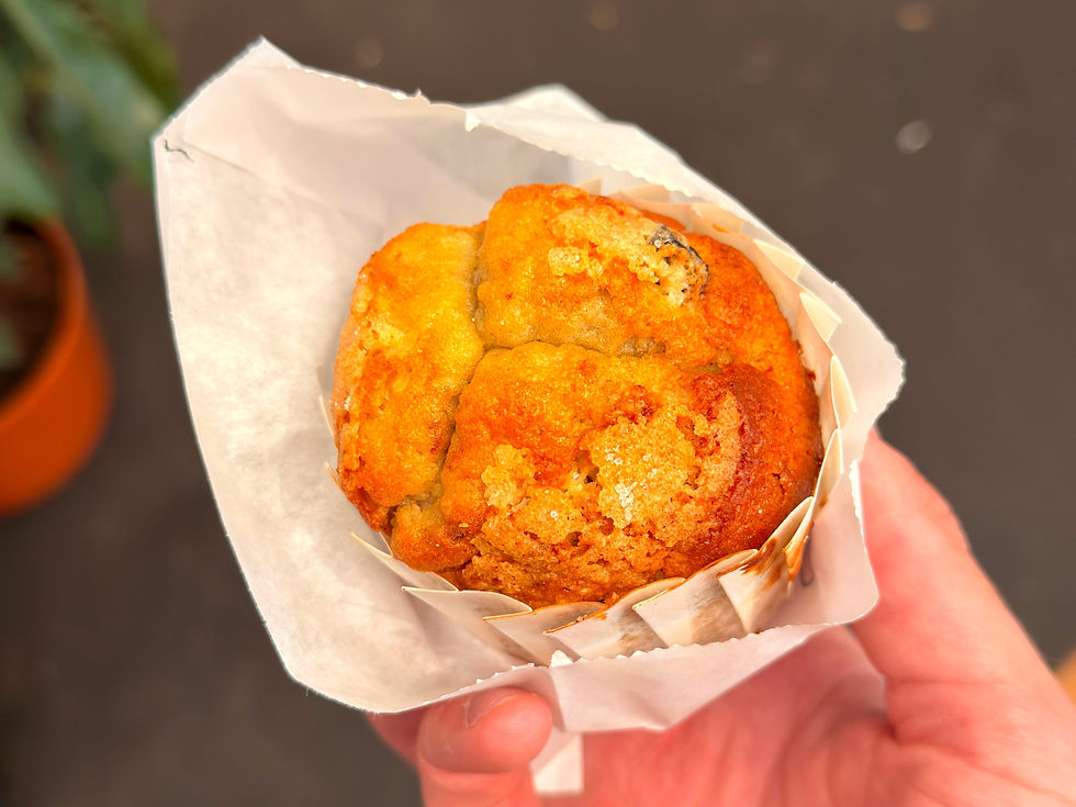 daily provisions blueberry lemon muffin