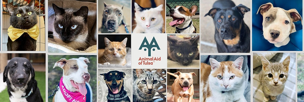 animal grid cover photo 2024 (2560 x 656 px) (1)_edited.jpg