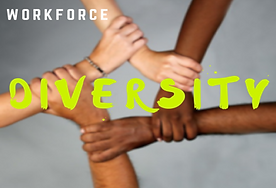 DIVERSITY PIC.png