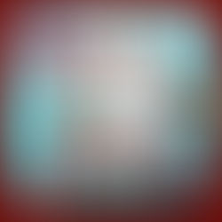 Here's when you will get to see 12 NEVER-BEFORE-SEEN Avatars of Richa Chadha's Shakeela!