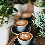 Image by Nathan Dumlao.webp