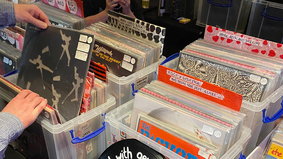 Hove Record Fair