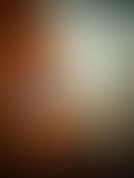 Augustin joins JBM for worldwide general management