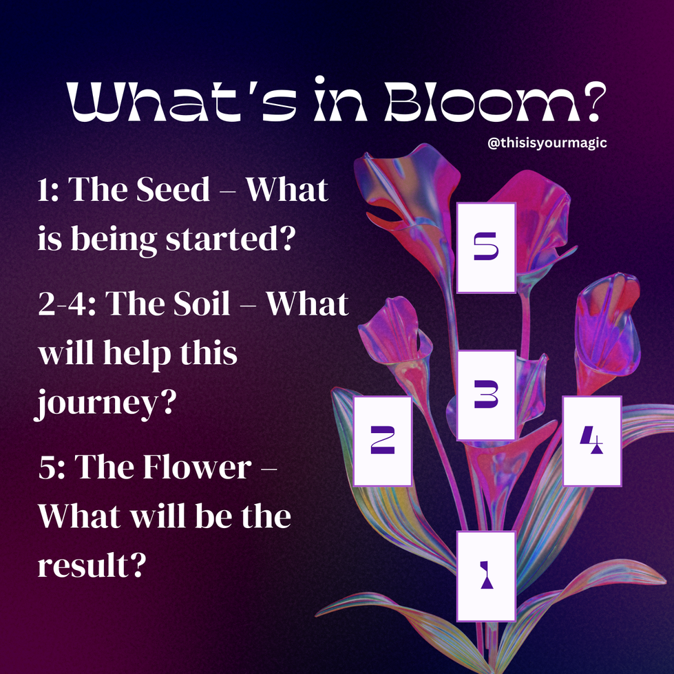 What’s in Bloom
