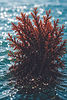 PNG_000093.jpg