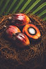 PNG_000090.jpg