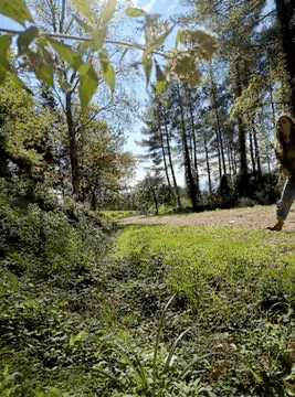 WhatsApp GIF 2026-03-14 at 18.06.51.gif
