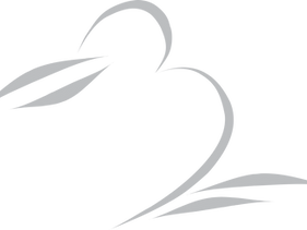 What's in a name? Kiwi Newton Group