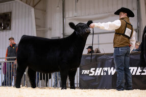 SSedits (1 of 31).jpg