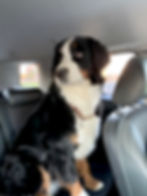 Oakley LOVES the car!