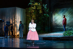 Das schlaue Füchslein-5961.jpg