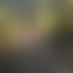 HIking with kids around Vancouver, BC family hiking, sunny day