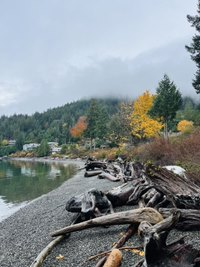 Beach in the fall, Bowen Island