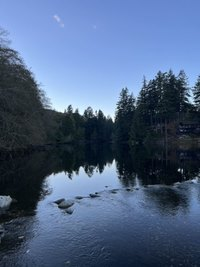 Lagoon, dark scene, tree line