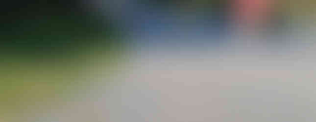 Mt Seymour in Summer