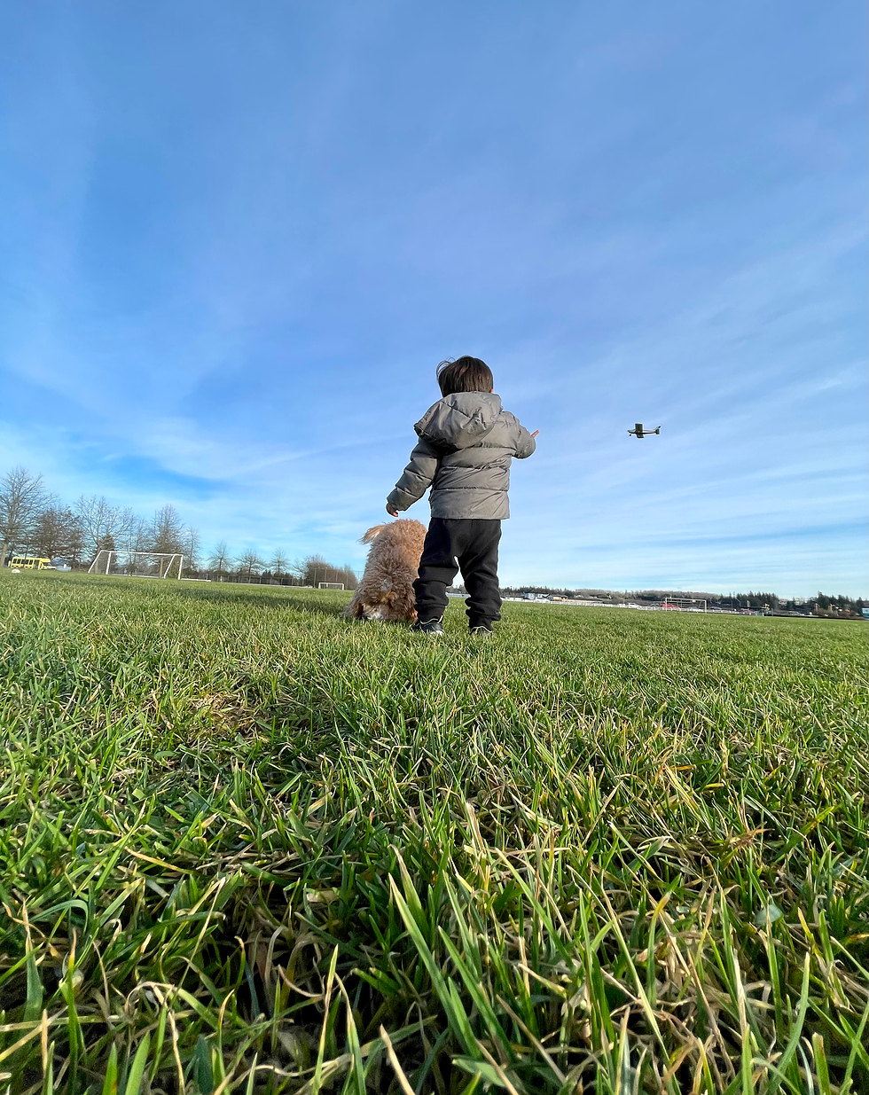 Living in Langley, Boy in Park with dog, grassy park, blue sky mostly clear