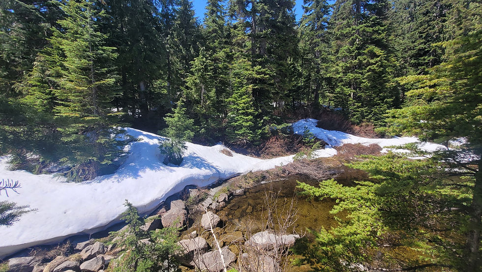 Mount Seymour