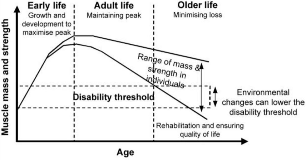 muscle mass and strength vs age graph