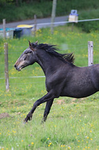 IMG_4440.JPG